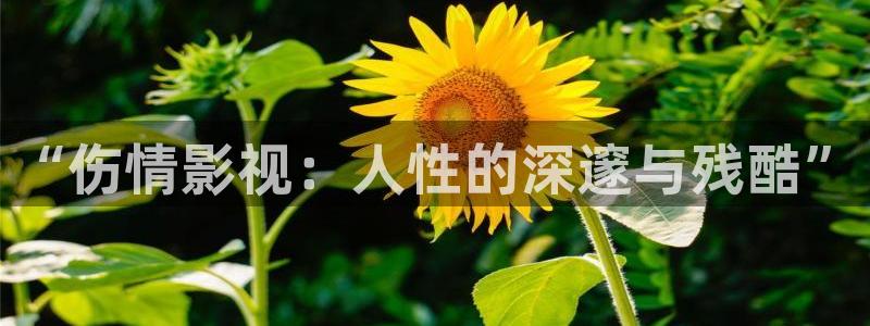 国产精品嫩草影院网站