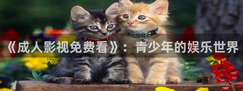 久久久嫩草影院