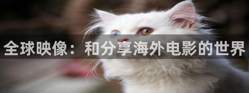 精品女优一嫩草影院