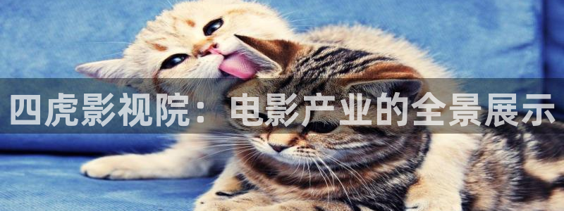 国产精品嫩草影院入口