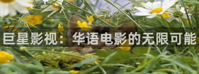 6699嫩草久久久精品影院