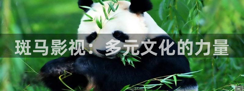 精品嫩草影院久久