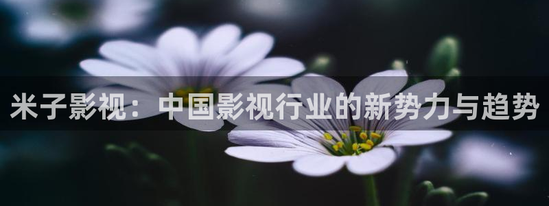嫩草影院入口懂你的影院