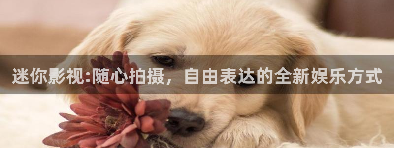 嫩草在线观看影院